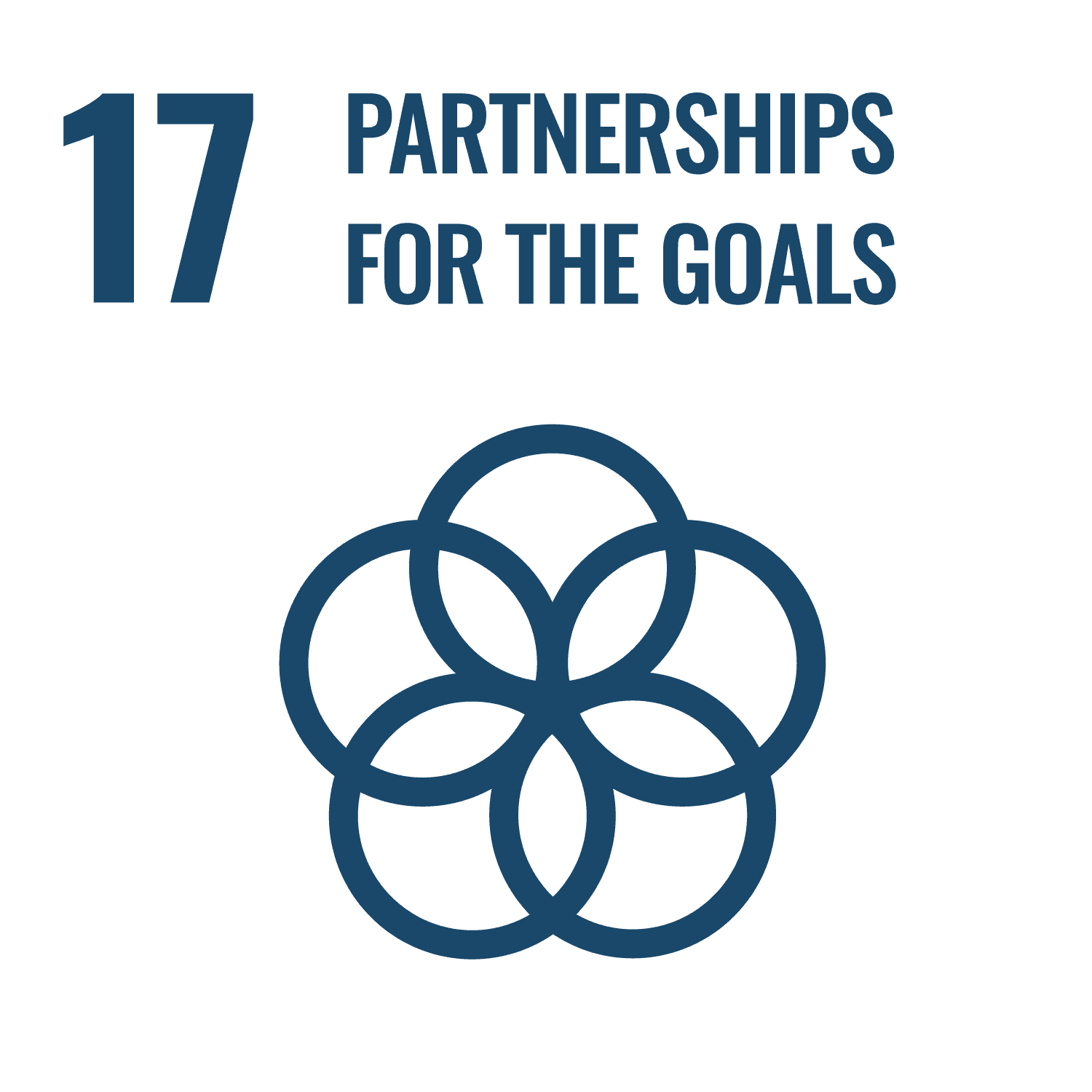 SDG 17